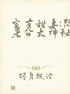 家有甜妻:闪婚老公太神秘