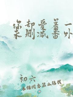 你却爱着一个他未删减番外免