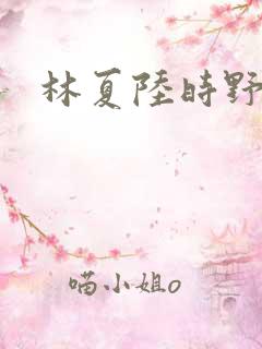 林夏陆时野短剧