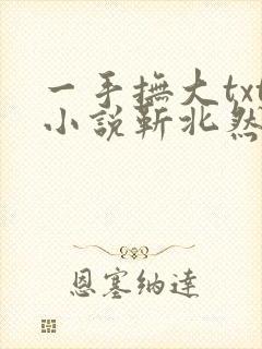 一手抚大txt小说靳北然