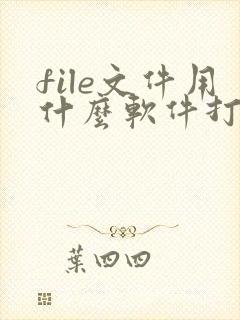 file文件用什么软件打开