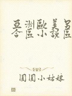 亚洲欧美另类综合区小说区