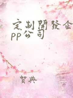 定制开发企业app公司