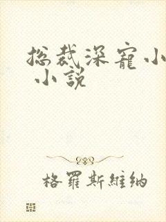 总裁深宠小甜妻 小说