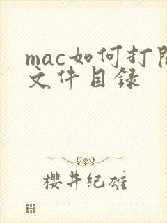 mac如何打开文件目录