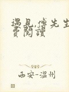 遇见,傅先生免费阅读