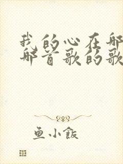 我的心在哪里是哪首歌的歌词