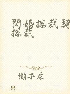 闪婚总裁契约妻总裁