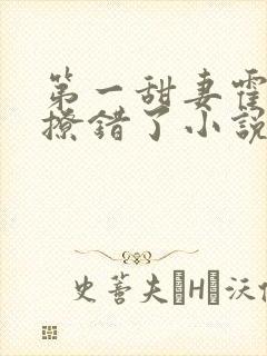 第一甜妻霍先生撩错了小说