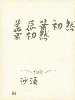 叶辰萧初然叶辰萧初然