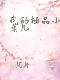 我的极品小姨 叶凡