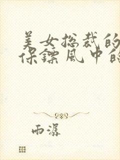 美女总裁的贴身保镖 风中的阳光