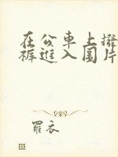 在公车上拨开内裤进入图片