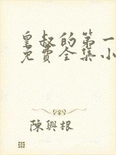 皇叔的第一宠妃免费全集小说