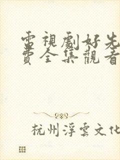 电视剧好先生免费全集观看高清