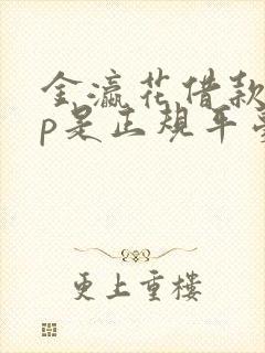 金瀛花借款app是正规平台吗