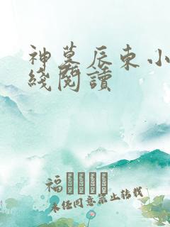 神墓辰东小说在线阅读