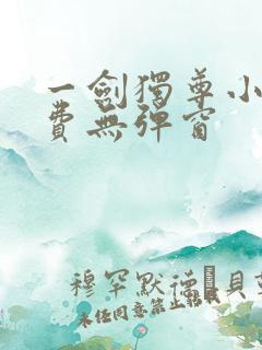 一剑独尊小说免费无弹窗