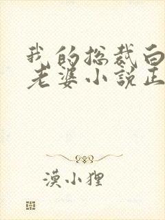 我的总裁白富美老婆小说正版