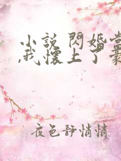 小说 闪婚当天,我怀上了豪门继承人