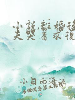 小说,离婚后前夫哭着求复婚