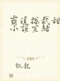 霸道总裁甜宠妻小说完结