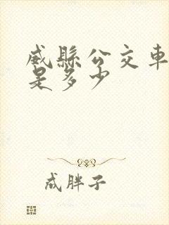 威县公交车电话是多少