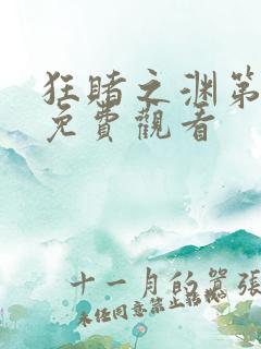 狂赌之渊第二季免费观看