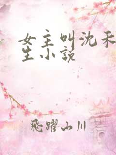 女主叫沈禾的重生小说