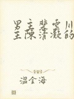 男主裴云川,女主陈清凝的小说