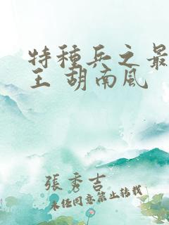 特种兵之最强兵王 胡南风