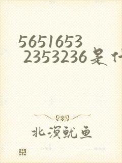 5651653 2353236是什么歌