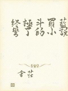 终极斗罗蓝轩宇弯了的小说