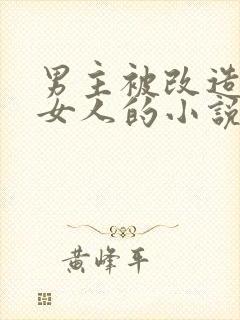 男主被改造成了女人的小说