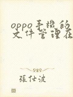 oppo手机的文件管理在哪里找到