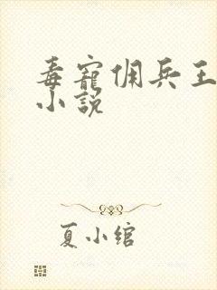 毒宠佣兵王妃 小说