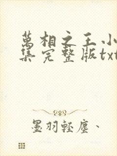 万相之王小说全集完整版txt