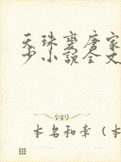 天珠变唐家·三少小说全文阅读