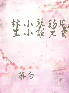 林小琴的风流人生小说免费阅读