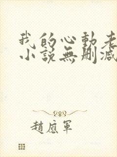 我的心动老板娘小说无删减版