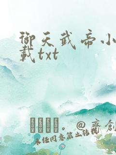 御天武帝小说下载txt