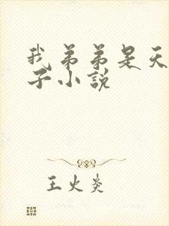 我弟弟是天选之子小说