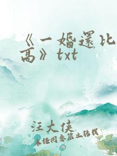 《一婚还比一婚高》txt