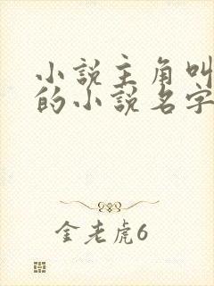 小说主角叫叶枫的小说名字