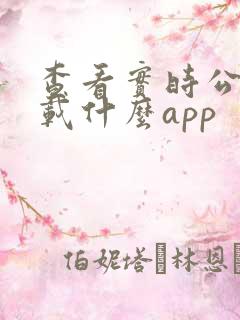 查看实时公交下载什么app