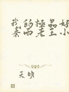 我的极品好儿媳秦雨老王小说