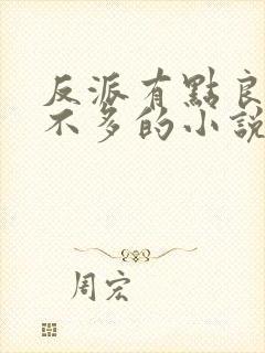 反派有点良心但不多的小说