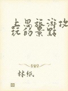 上思旅游攻略必玩的景点