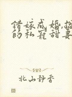 错嫁成婚,总裁的私宠甜妻