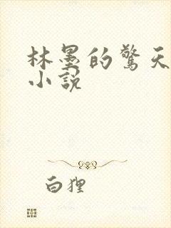 林墨的惊天一跪小说